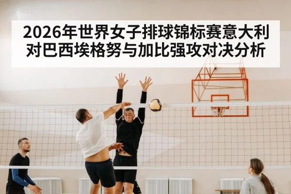 volleyball match defense net